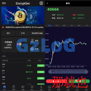 全新PC版微盘系统/微盘外汇系统/USDT充值/九种语言/实名认证