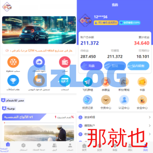阿拉伯投资理财系统/海外投资众筹系统/前端vue
