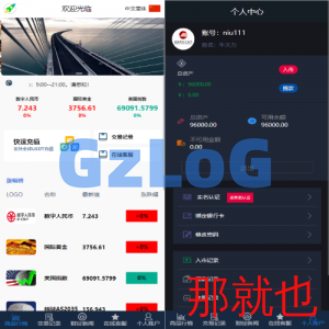 证券微交易系统/期货微盘源码/时间盘投资理财