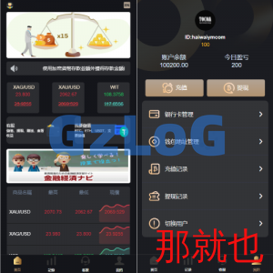 多语言海外微盘系统/外汇期货微交易/时间盘系统