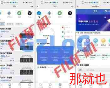 多币种通证+以太坊+FIL+CHIA+BZZ