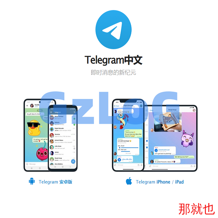 全新开发假飞机系统/钱包地址更换系统/假telegram源码