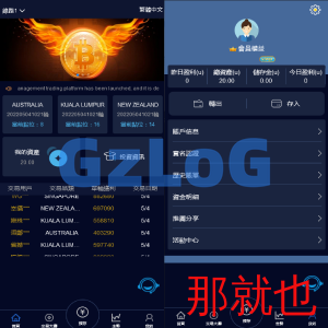 全新vue版28游戏源码/伪交易所系统/游客试玩/自带客服系统