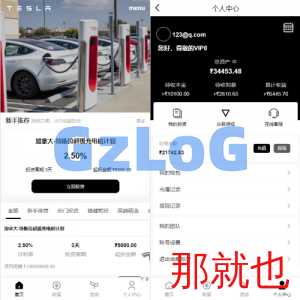 新版海外特斯拉投资系统/多语言投资理财/前端vue