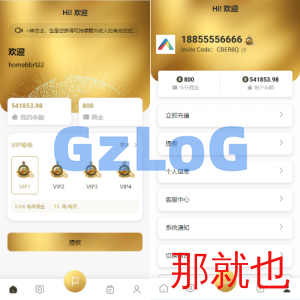 新版多语言抢单刷单系统/连单刷单/海外抢单刷单源码