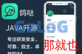im聊天软件Java即时通讯源码原生APP双端+pc端+音视频通话