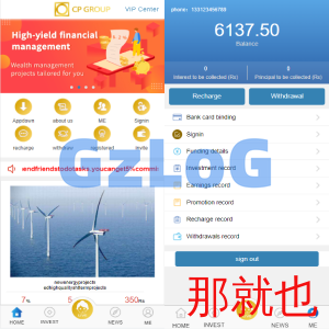 英文版p2p投资理财源码/众筹投资分红系统