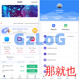 多语言微交易系统/微盘伪交易所/前端vue