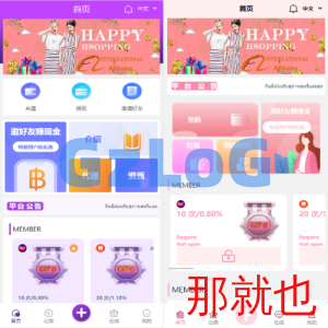 九套UI可切换海外抢单刷单系统/订单自动匹配系统/分组杀/连单控