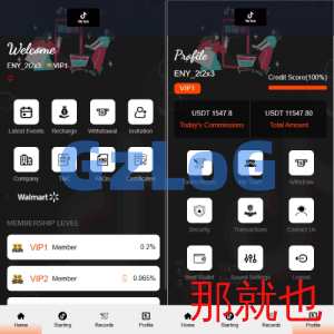 海外TIKTOK抢单刷单系统/连单卡单/前端VUE