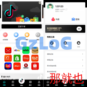多语言tiktok抢单刷单系统/海外抢单系统/连单卡单