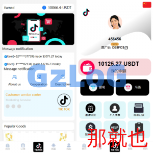 海外TIKTOK抢单刷单系统/多语言刷单/打针/重置订单