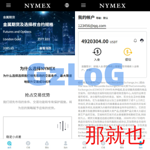 海外微交易系统/虚拟币外汇交易/PC微盘/多语言微盘