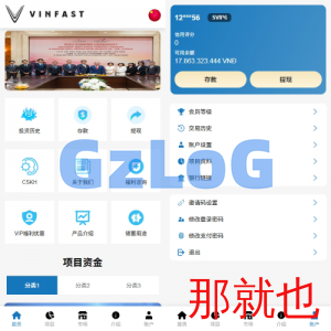 海外投资众筹系统/越南投资理财/前端VUE