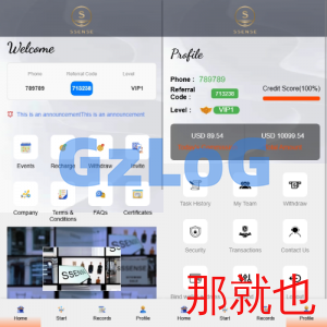 海外抢单刷单系统/幸运单/连单卡单/订单重置/订单评价